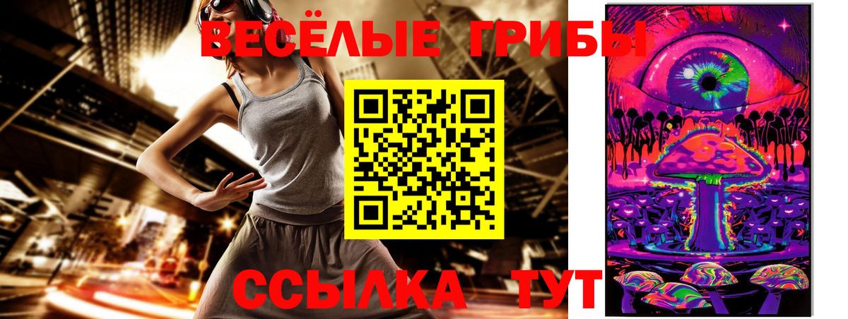 Галлюциногенные грибы Cubensis  Вход с VPN  Нальчик 